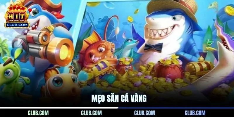 Mẹo Săn Cá Vàng